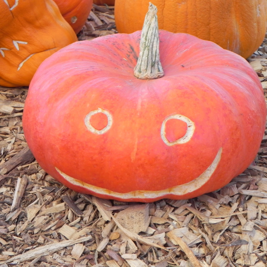 Big Smile, Nipomo Pumpkin Patch best carving idea